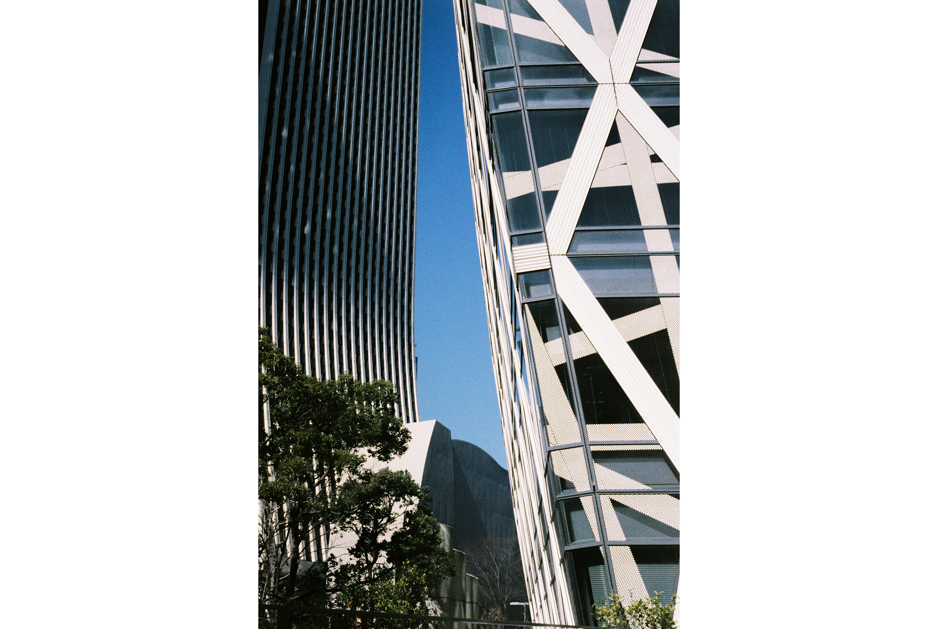 Olympus Trip 35 - Golden Yellow | Lovingly Refurbished and Fully Tested