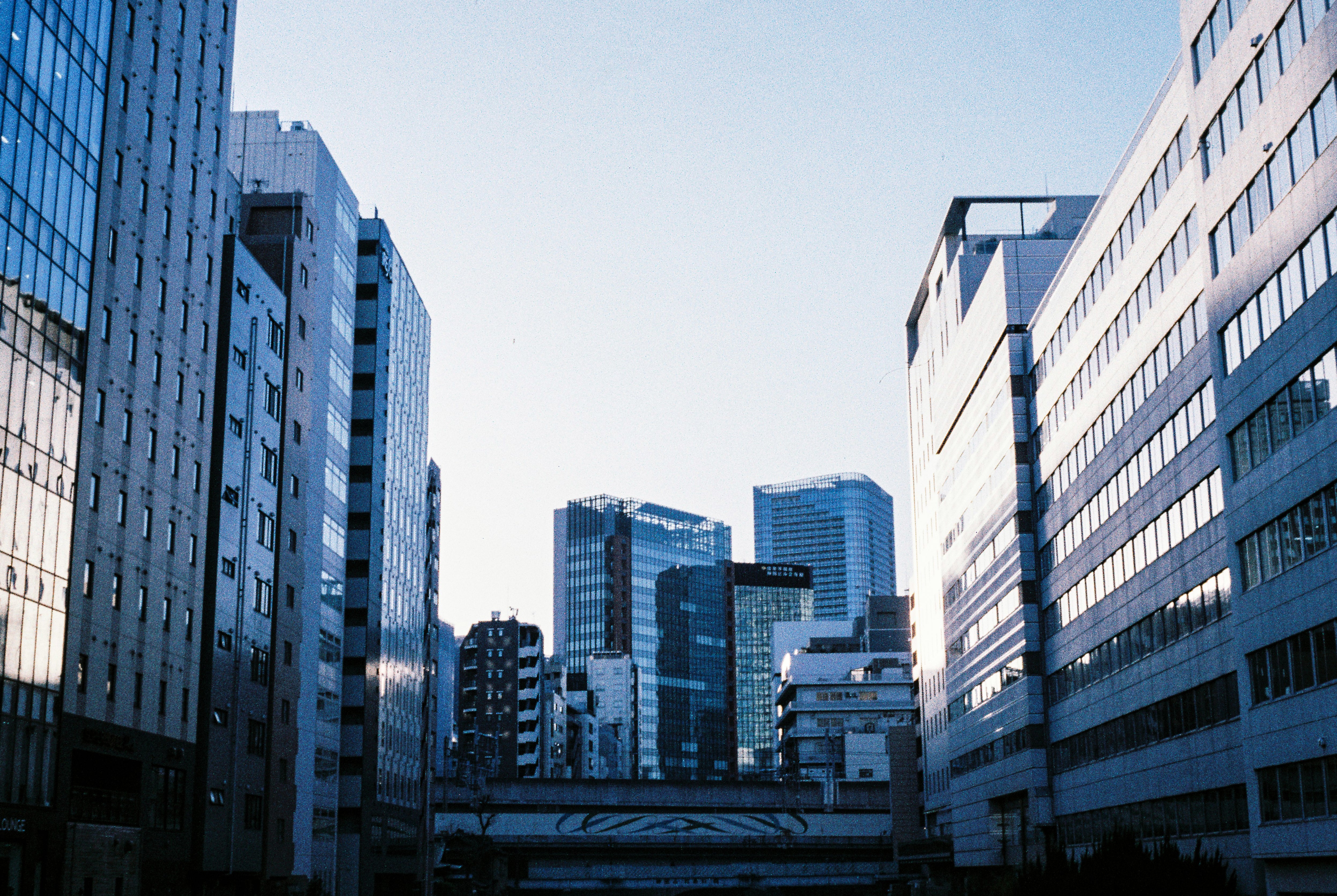 Olympus Trip 35 - Golden Yellow | Lovingly Refurbished and Fully Tested