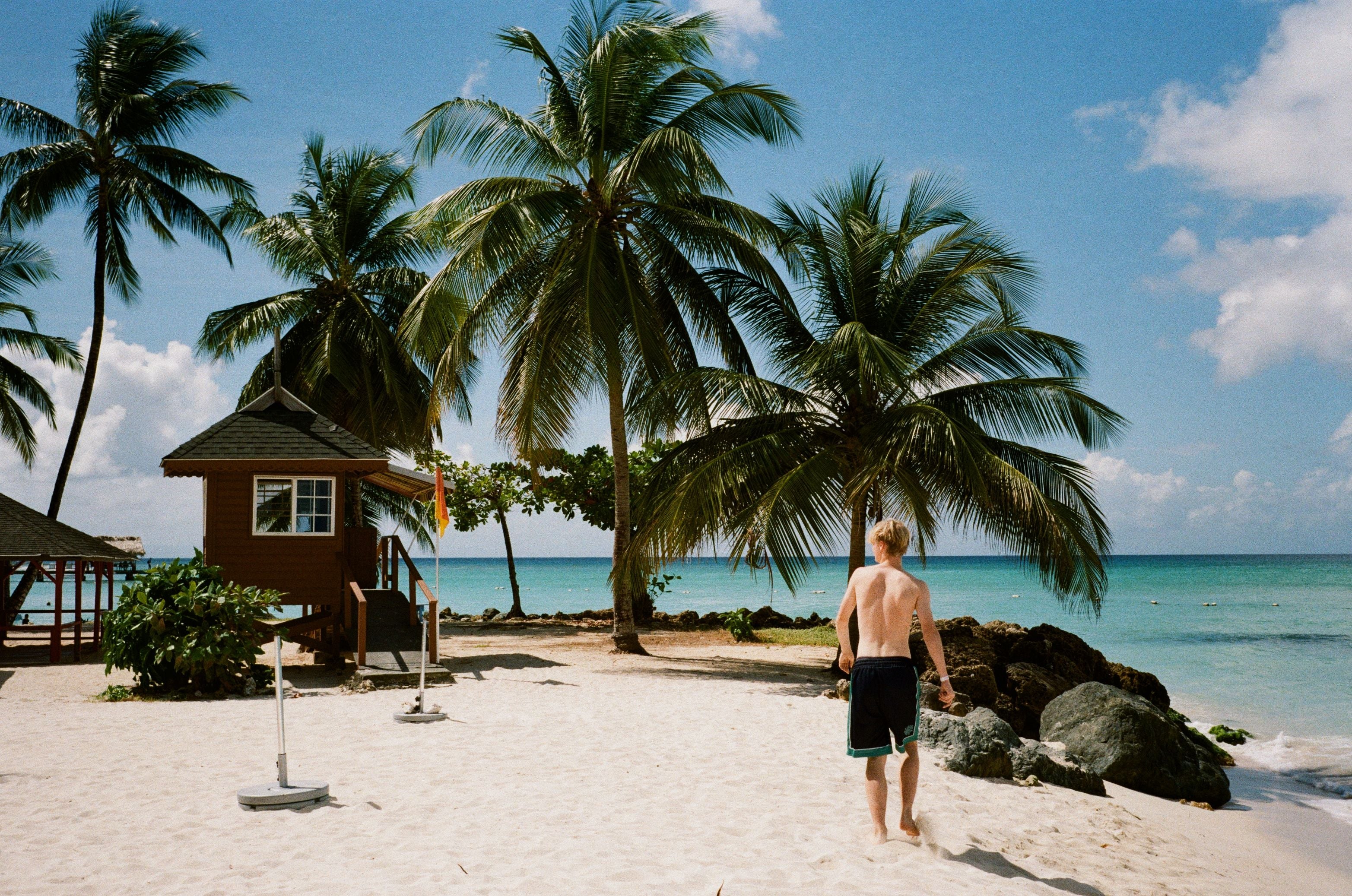 Olympus Trip 35 - Forest Slate Green | Lovingly Refurbished and Fully Tested