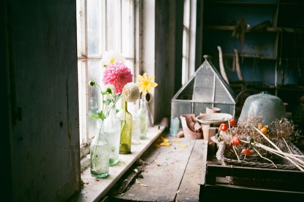 Olympus Trip 35 - Original Black | Lovingly Refurbished and Fully Tested